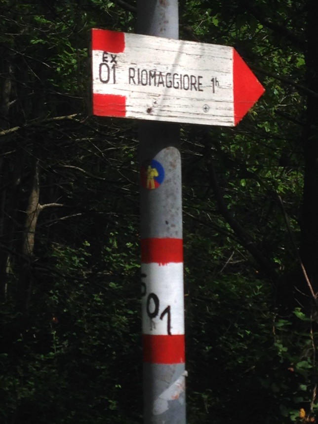 Path down to Riomaggiore