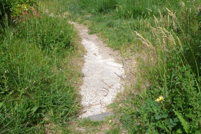 Walking on some old tiles