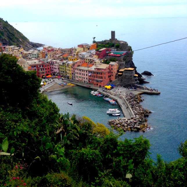 Vernazza's harbor is nice