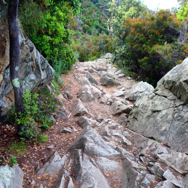 The trail is pretty rocky at times