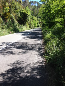 Walking along the road. Happens a number of times on this trail.