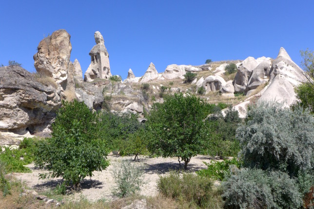 Hiking into Pigeon Valley