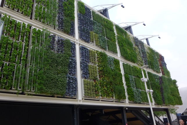 The other exterior wall of the US pavilion was a very cool vertical garden, food wall