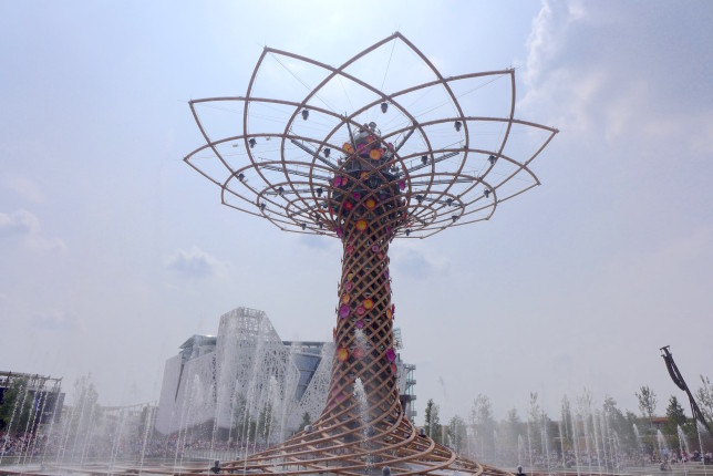 The massive Tree of Life at the Italian Pavilion