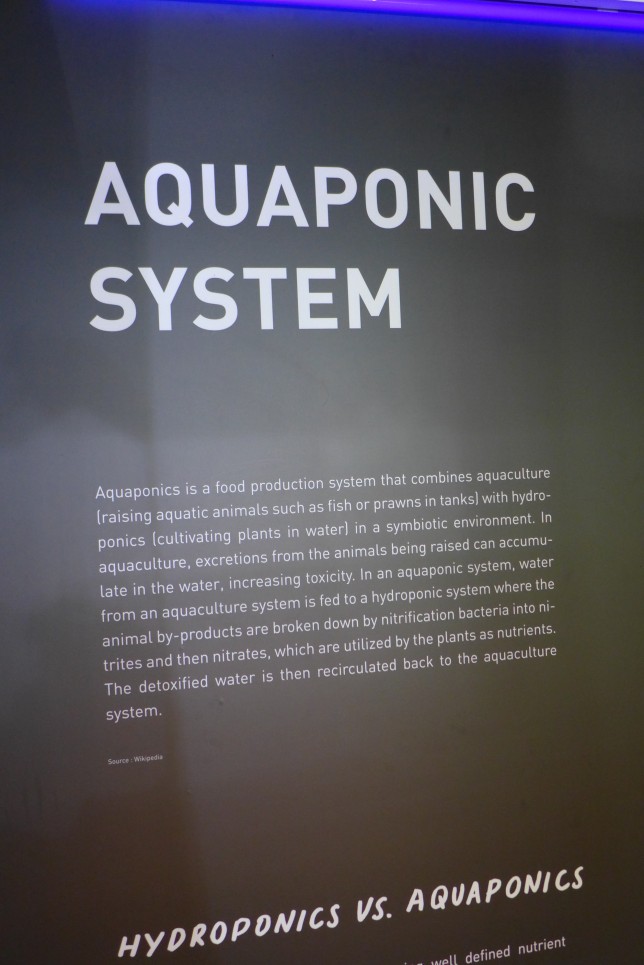 Information on the aquaponic system