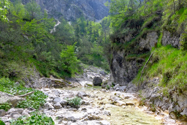 Walking along and through a low river