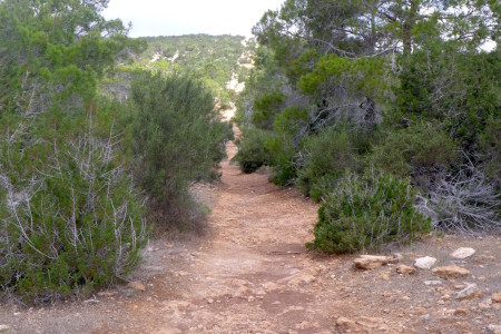 The trail goes uphill for a while